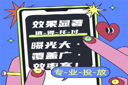 SEO与SEM优化案例：打造行业领先品牌